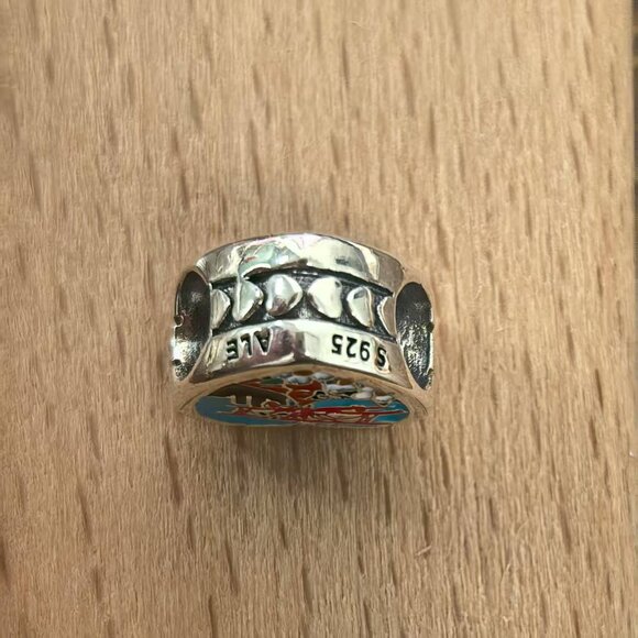 Pandora North Carolina land of the Sky Exclusive Charm, S925 Silver Bracelets - Picture 3 of 4